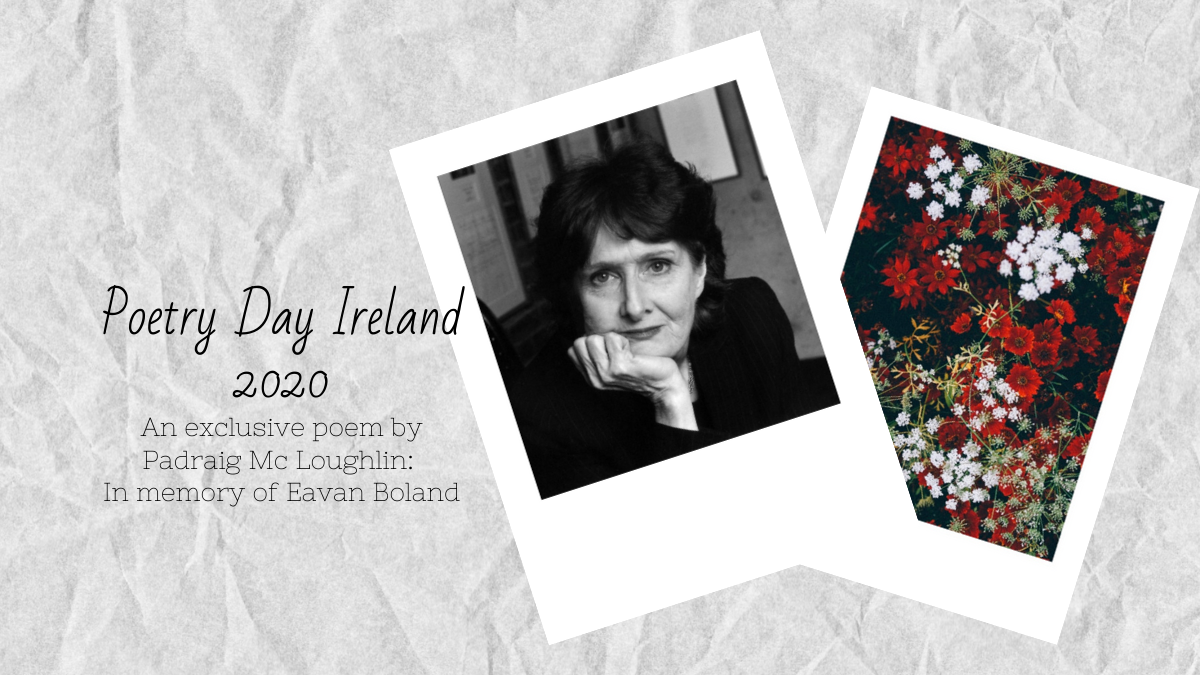 Happy Poetry Day Ireland! In Memory of Eavan Boland Books Ireland