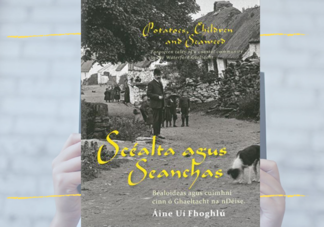 Leabhair idir lámha: Scéalta agus Seanchas, Áine Uí Fhoghlú - Books Ireland