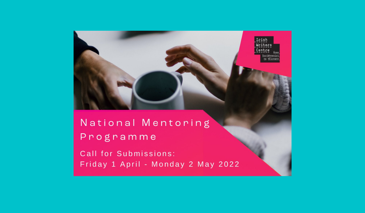 irish-writers-centre-embraces-national-mentoring-programme-books-ireland